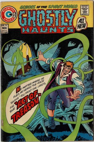 Echoes of the Spirit World Ghostly Haunts