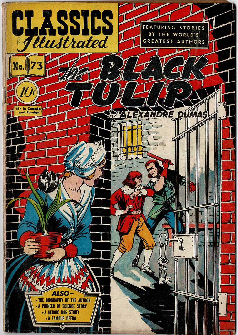 The Black Tulip