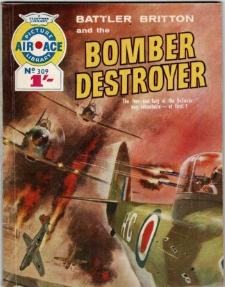 Bomber Destroyer