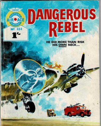 Dangerous Rebel