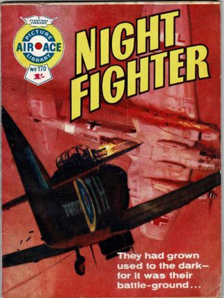 Night Fighter