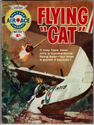 Flying "Cat"