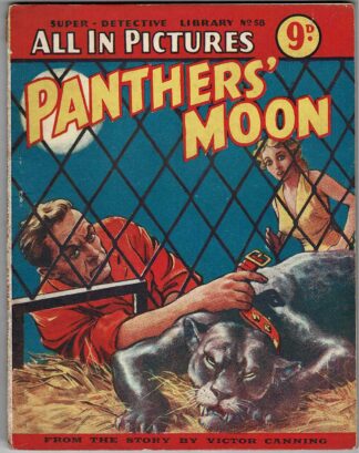 Panther's Moon