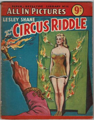 Lesley Shane and the Circus Riddle
