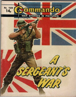 A Sergeant's War