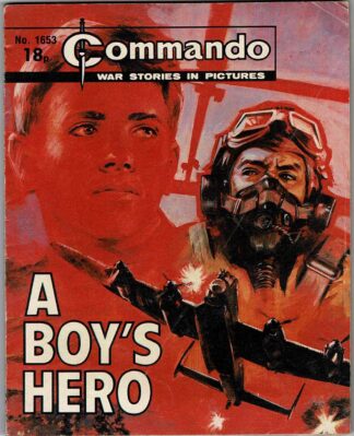 A Boy's Hero