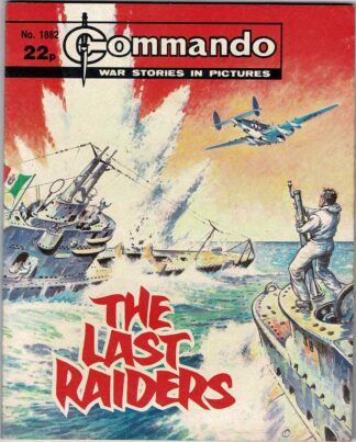The Last Raiders