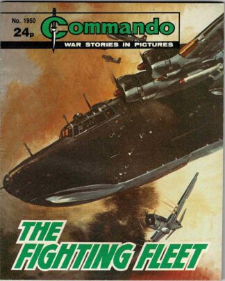The Fighting Fleet