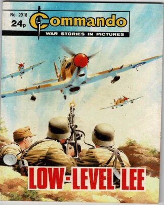 Low-Level Lee