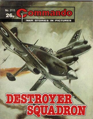 Destroyer Squadron
