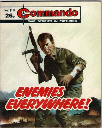 Enemies Everywhere!