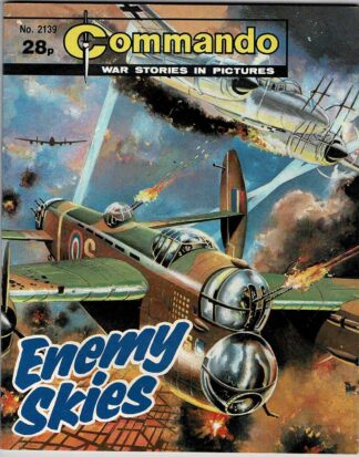 Enemy Skies