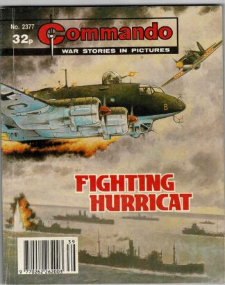 Fighting Hurricat