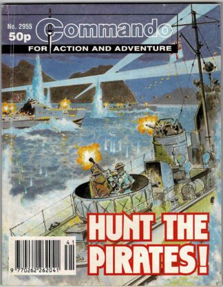 Hunt the Pirates!