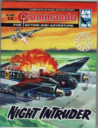 Night Intruder
